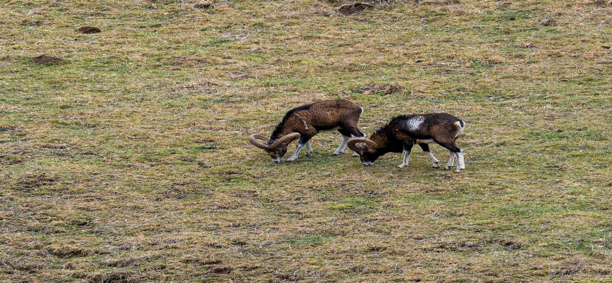 09022026-09 02 26 (31).jpg